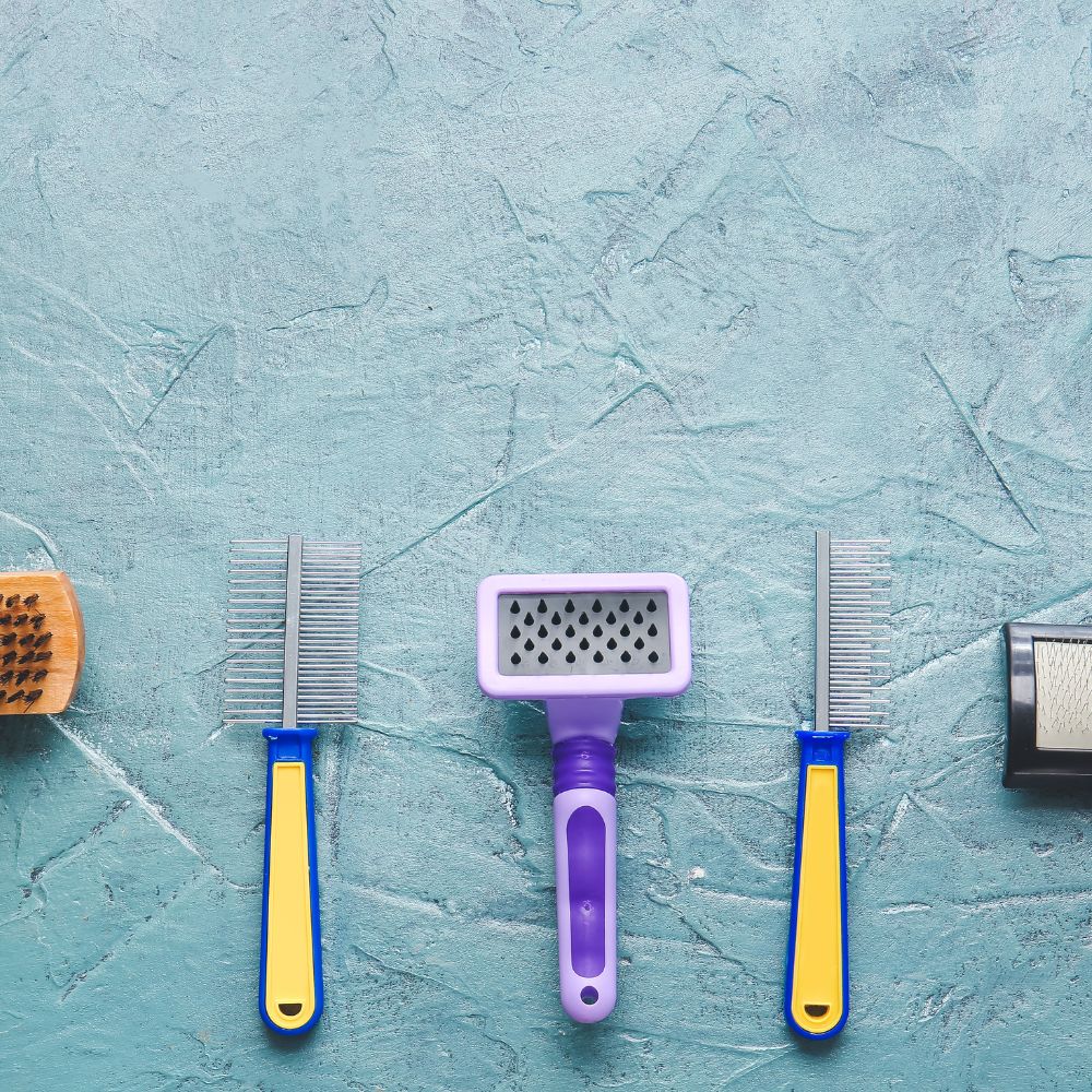 Grooming
